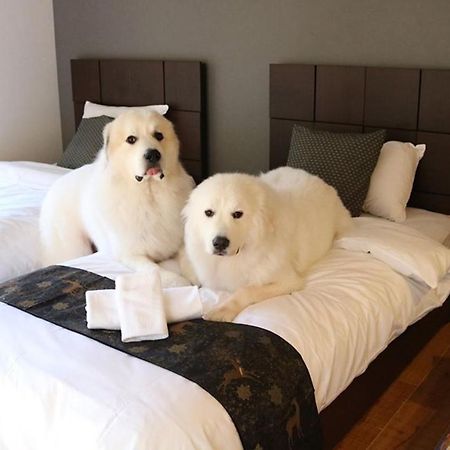 Miyajima Shiro Hotel Hatsukaichi Eksteriør billede